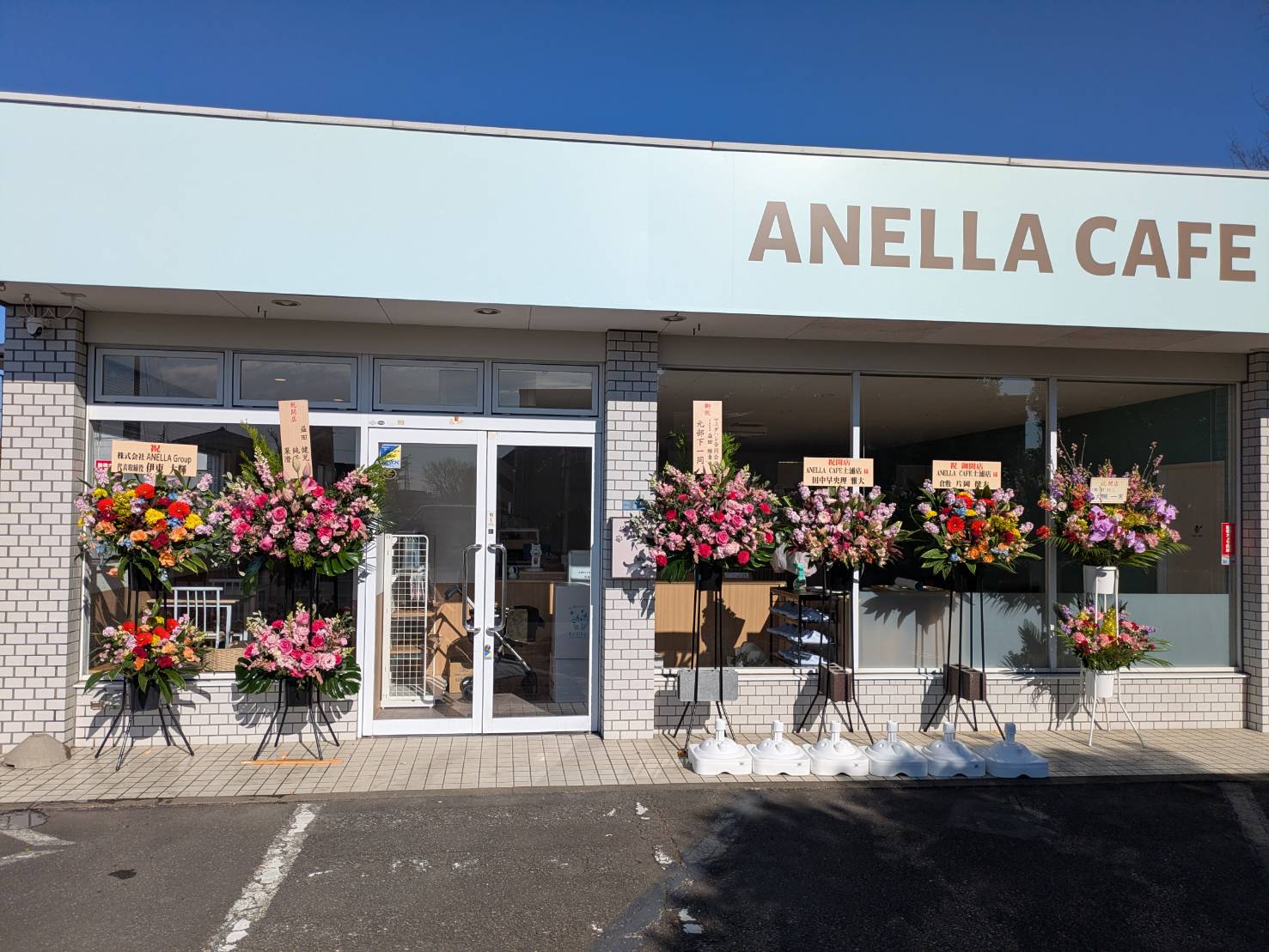 保護犬・保護猫と出会えるカフェの改修工事をお手伝いしました🌸