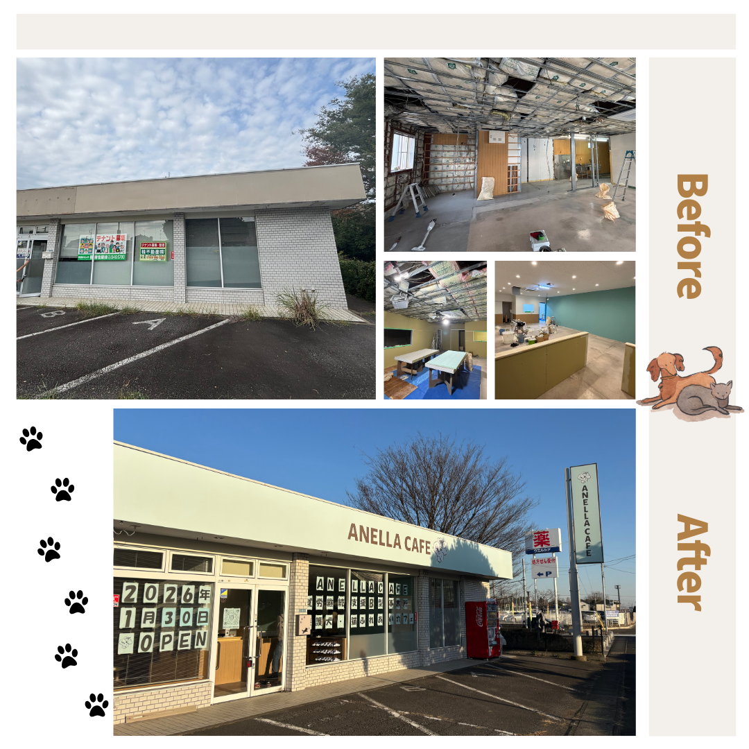 コンビニ跡地を“命をつなぐ場所”へ ― 保護犬・保護猫ふれあいカフェ新装工事